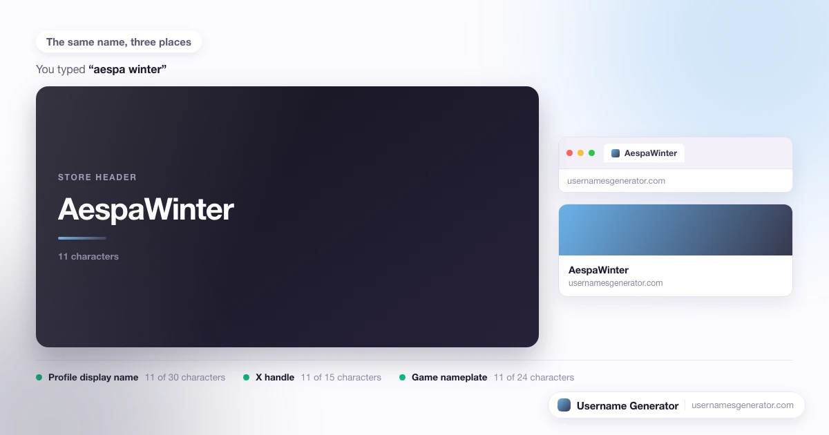 One username shown as a profile display name, a short handle and a game nameplate, with each limit marked.
