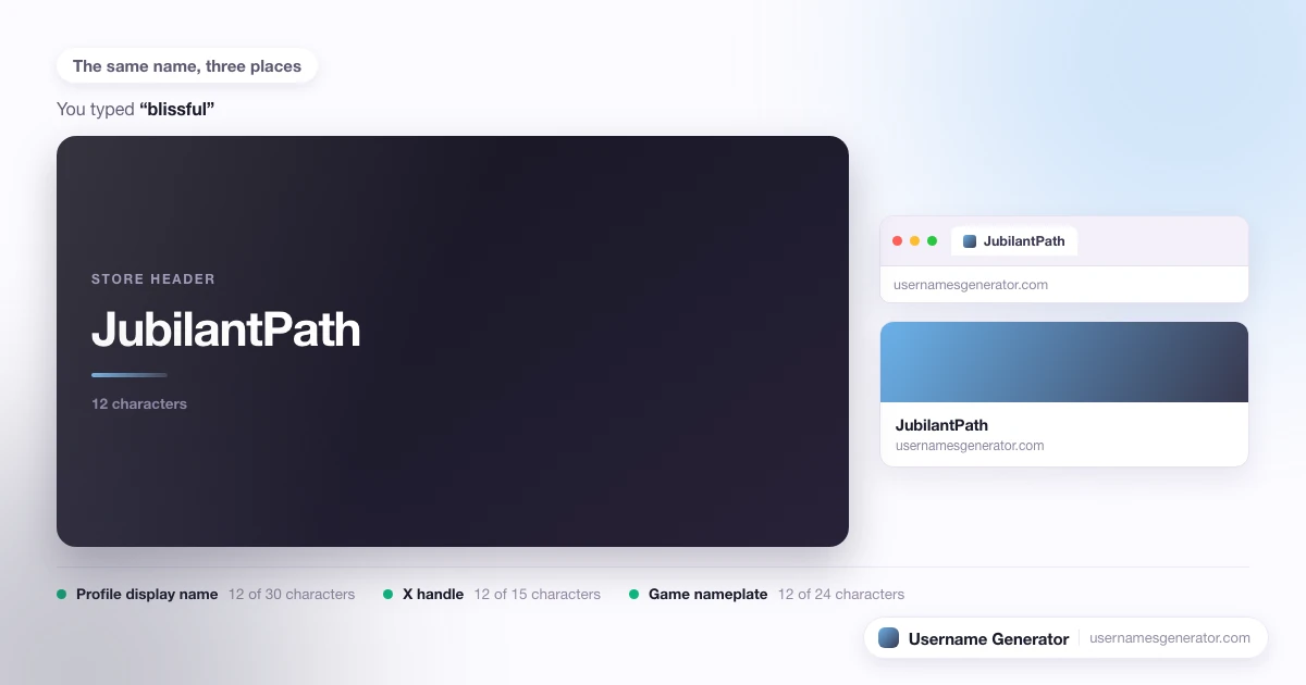 One username shown as a profile display name, a short handle and a game nameplate, with each limit marked.